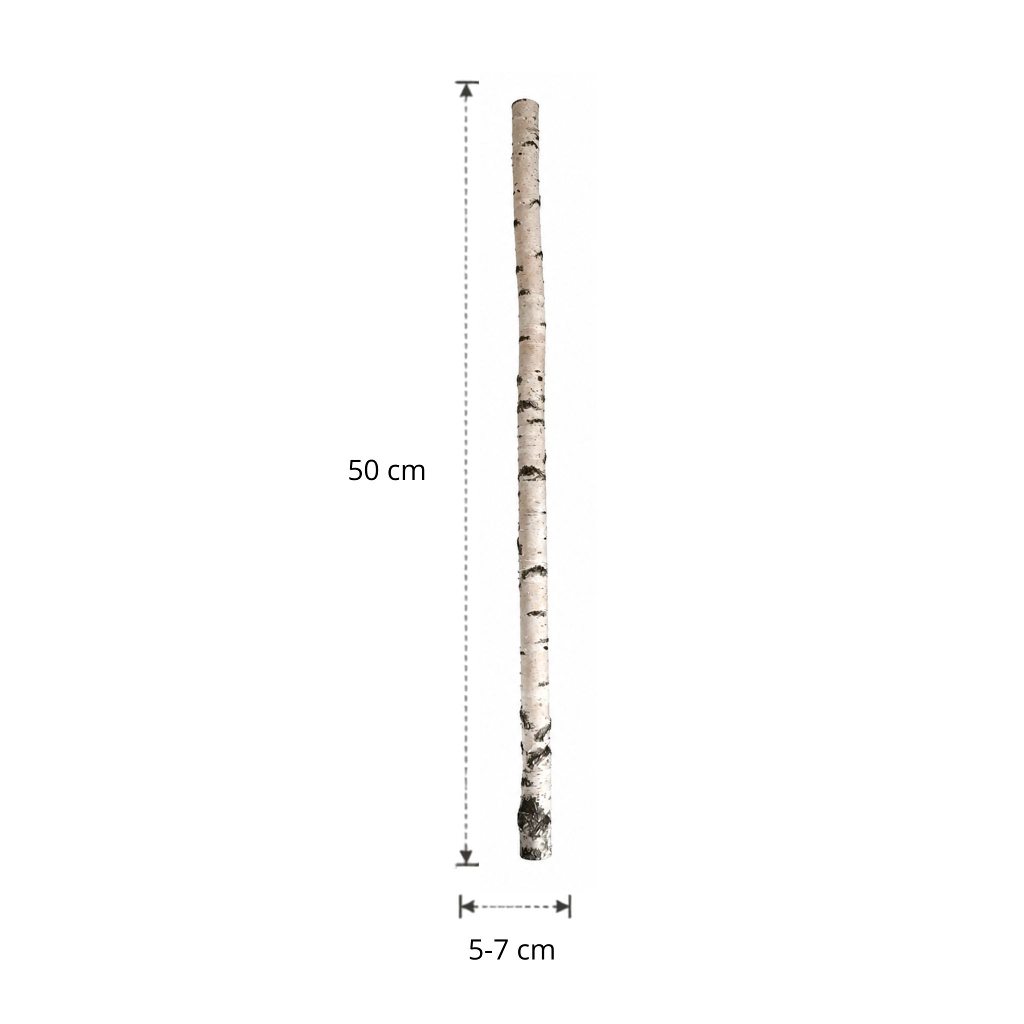 Berkenstam | 50 cm | Diameter van 5 tot 7 cm