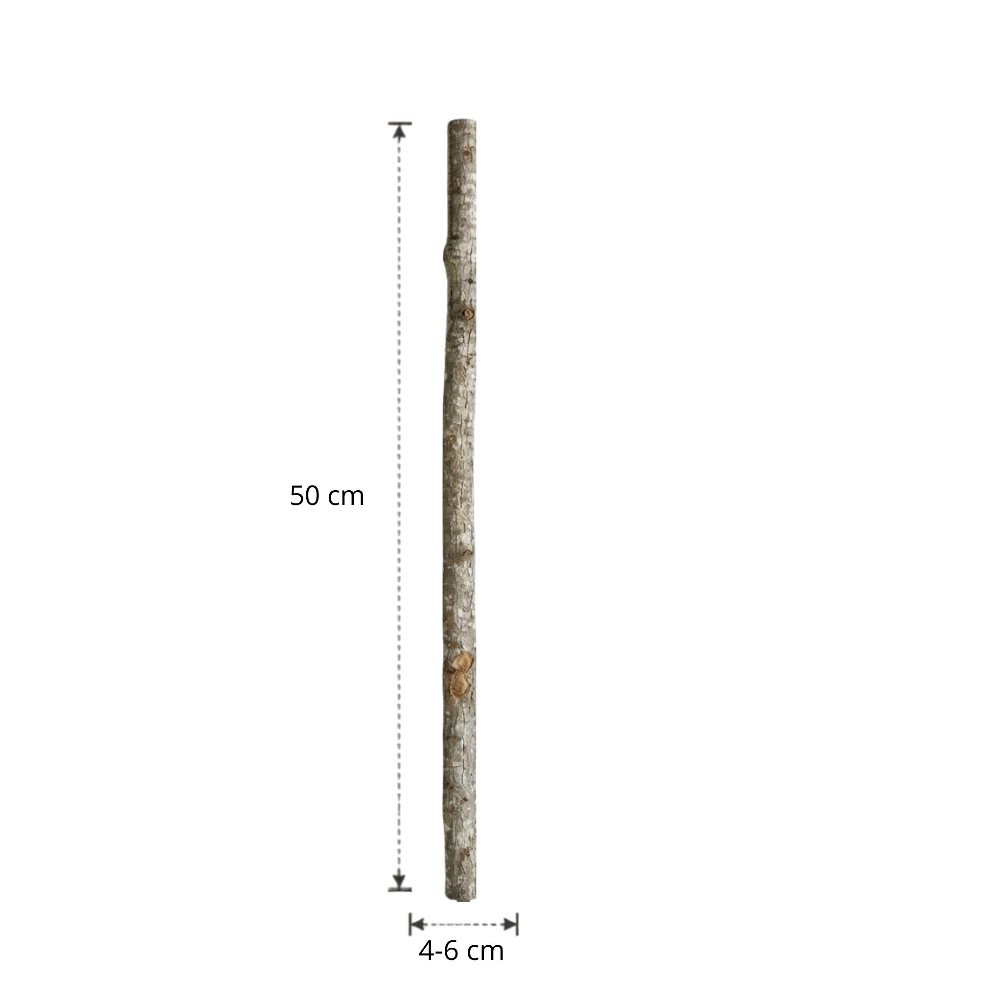 Eikenstam met bast | 50 cm | Diameter van 4 tot 6 cm