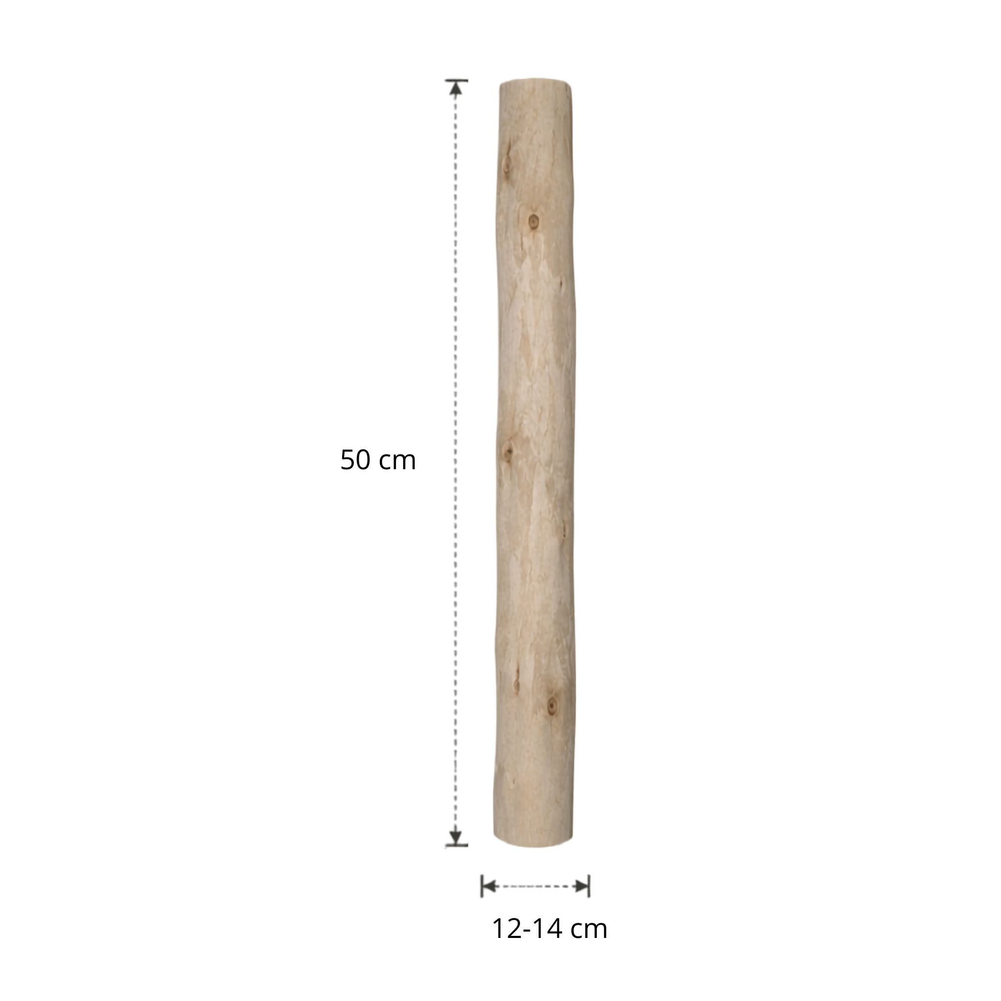 Ontschorste stam | 50 cm | Diverse diameters