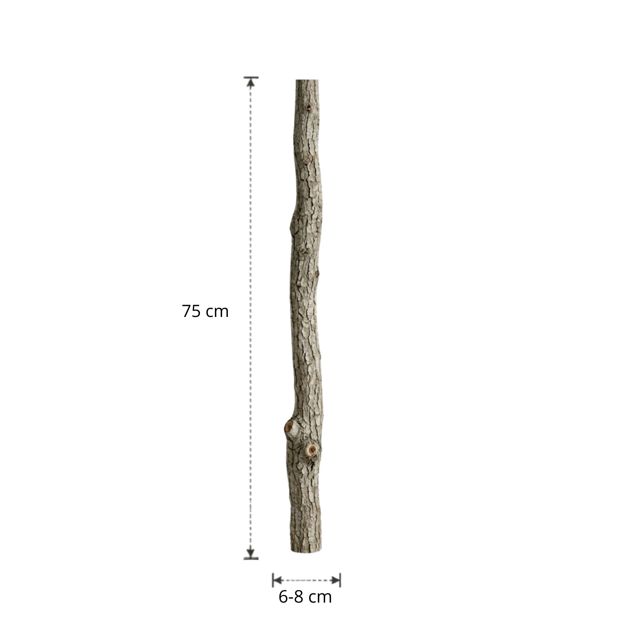 Eikenstam met bast | 75 cm | Diameter van 6 tot 8 cm