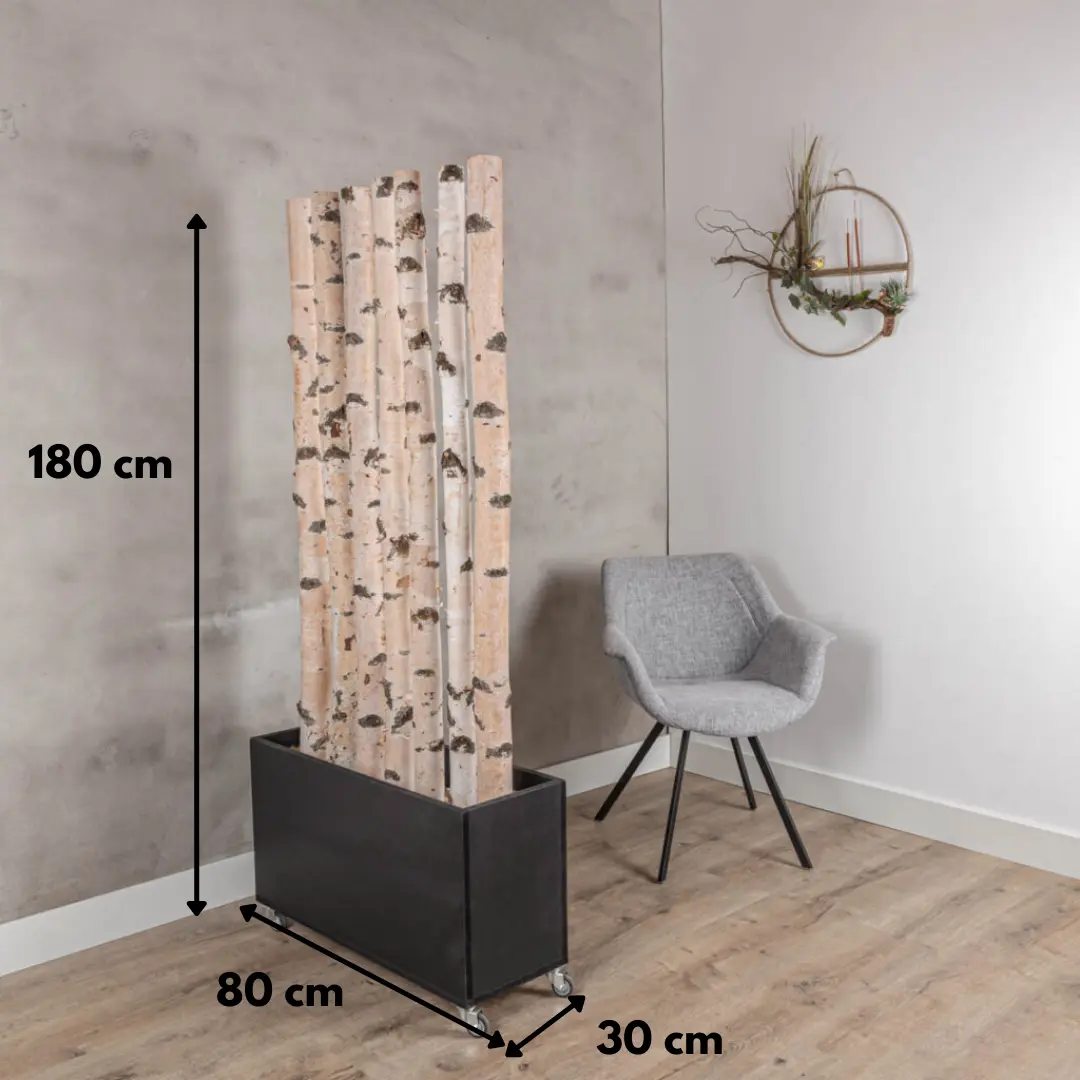 Berken Roomdivider Asta Met zwarte bak en wieltjes H180cm, afmetingen