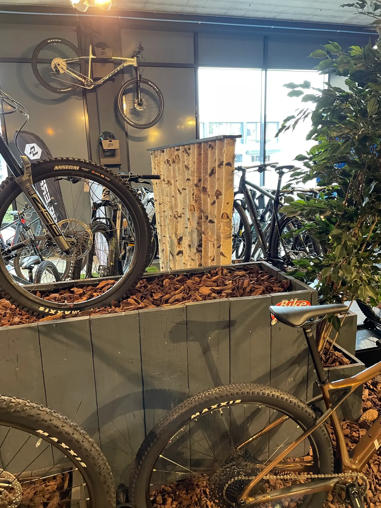 Berken Roomdivider Thor Met zwarte voet (3)