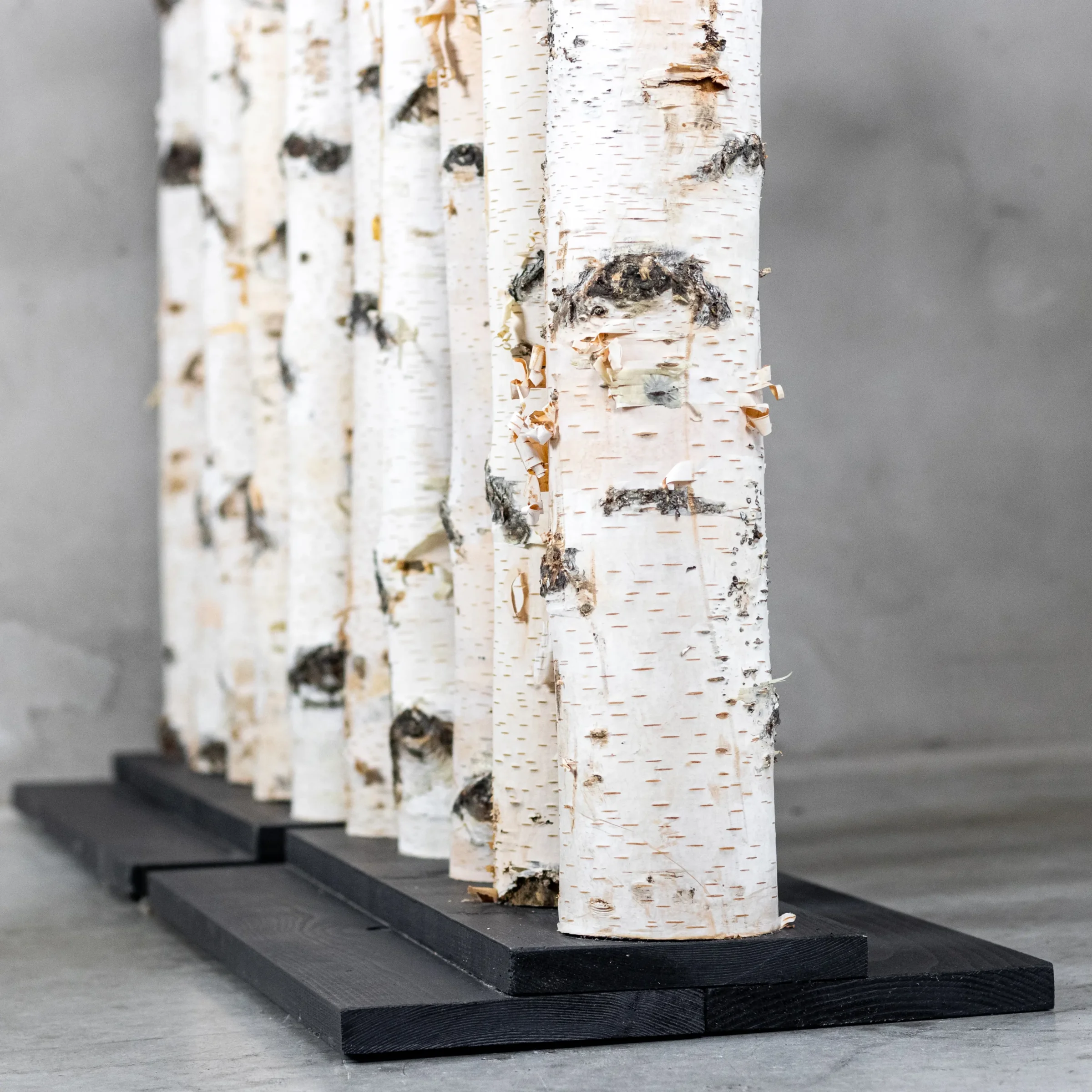 Berken Roomdivider Thor Met zwarte voet, foto van voet (2)