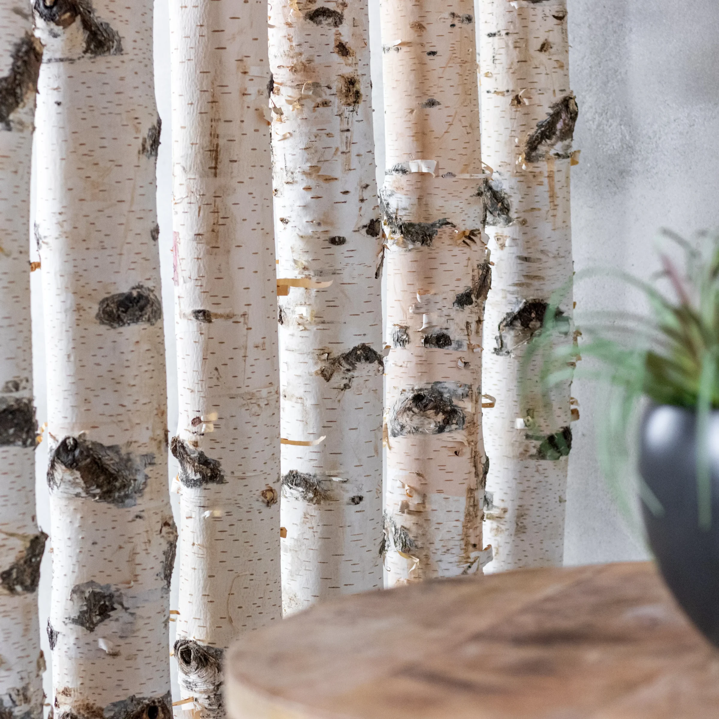 Berken Roomdivider, foto middenstuk (2)