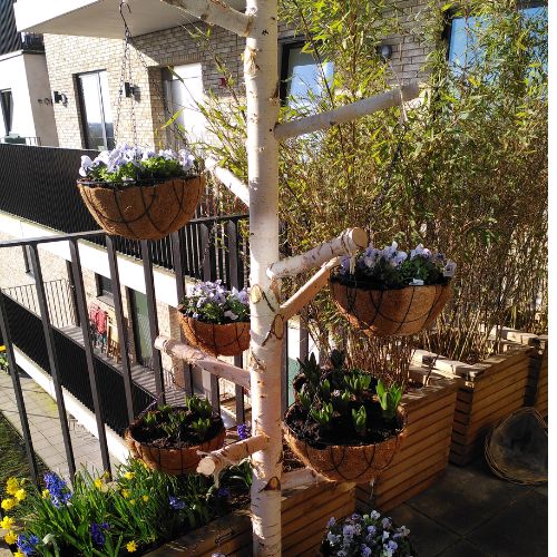 Berken-kapstok-op-balkon-Decoratietakken