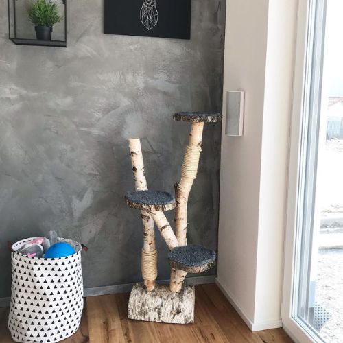 Berken-krabpaal-in-hoek-van-kamer-Decoratietakken