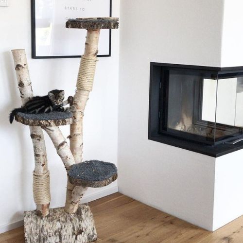 Berken-krabpaal-in-witte-woonkamer-Decoratietakken