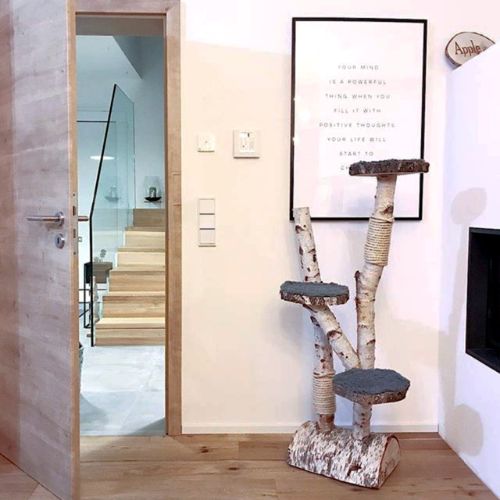 Berken-krabpaal-zonder-katten-Decoratietakken