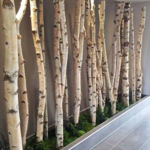 Berken-roomdivider-gang-Decoratietakken