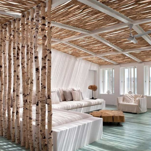 Berken-roomdivider-in-buitenkamer-Decoratietakken