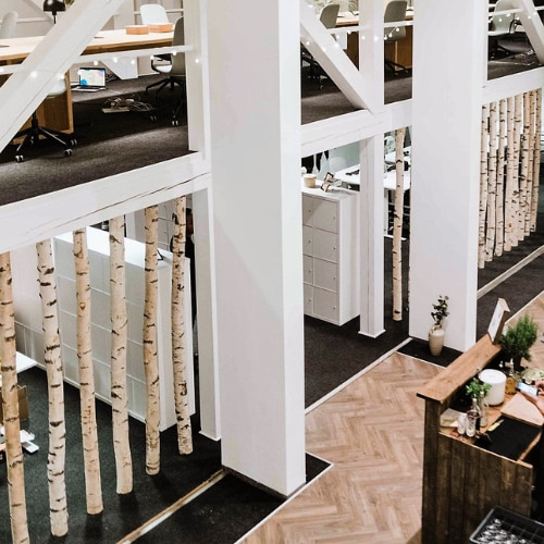 Berken-roomdivider-in-kantoor-Decoratietakken