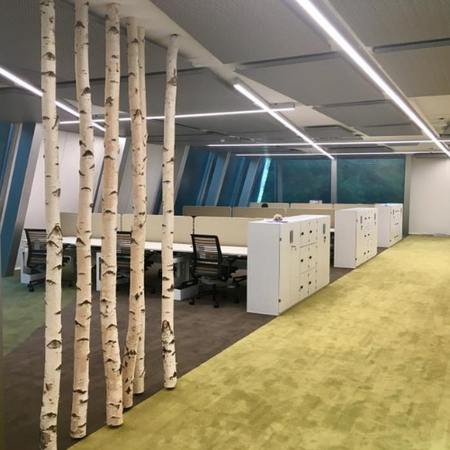 Berken-wand-op-kantoor-Decoratietakken