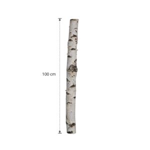 Berkenstam 100 cm