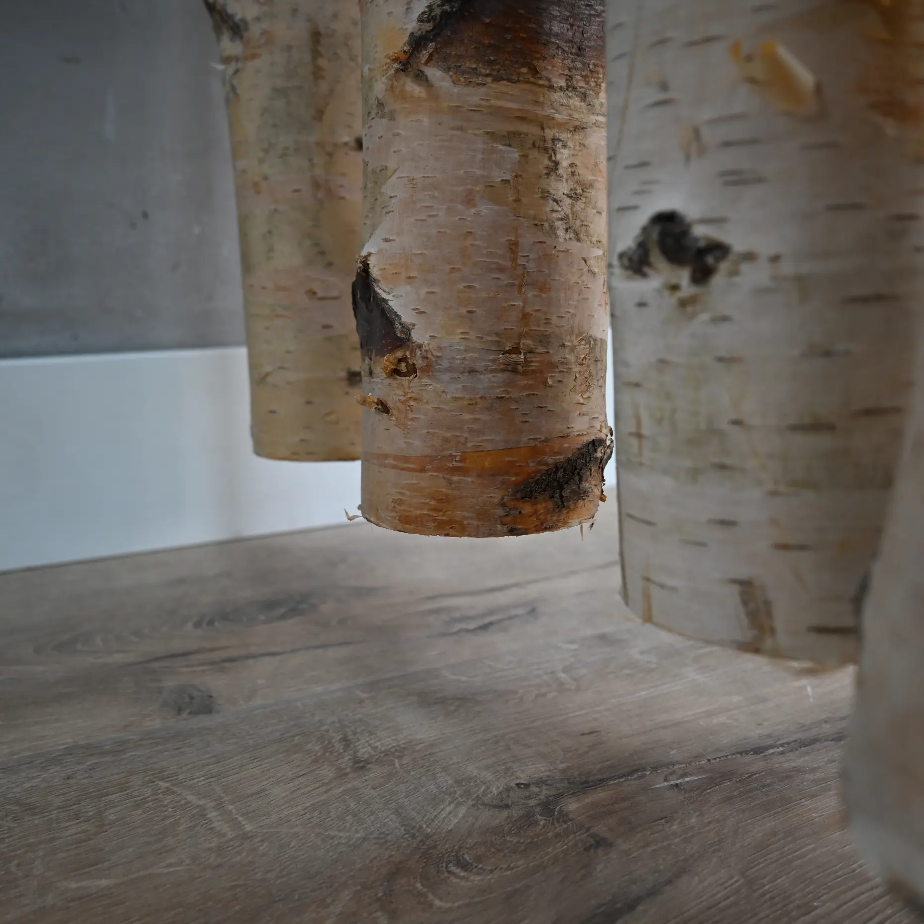 Berkenstam aan ophangrail (3)