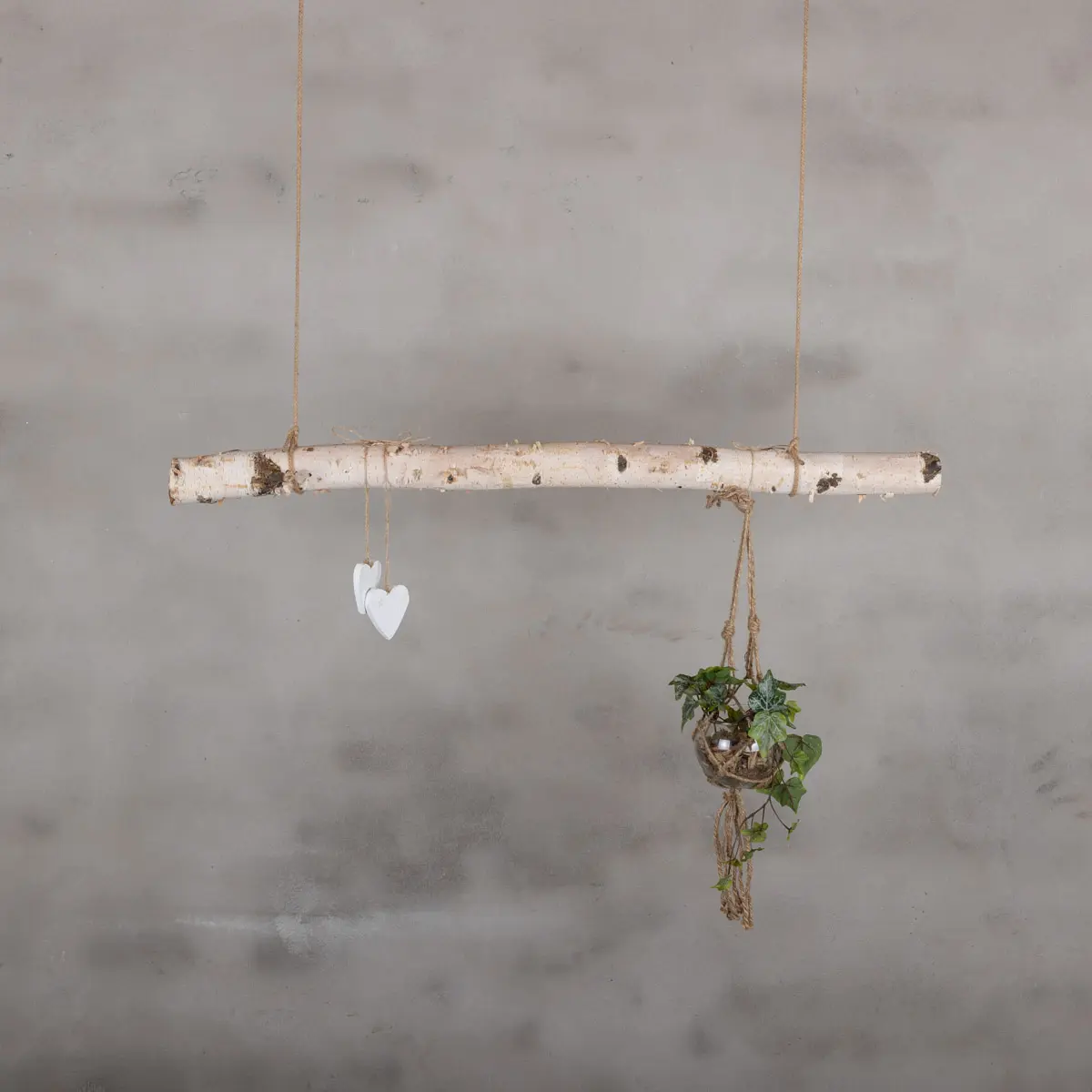 Berkentakhanger 100 cm 1