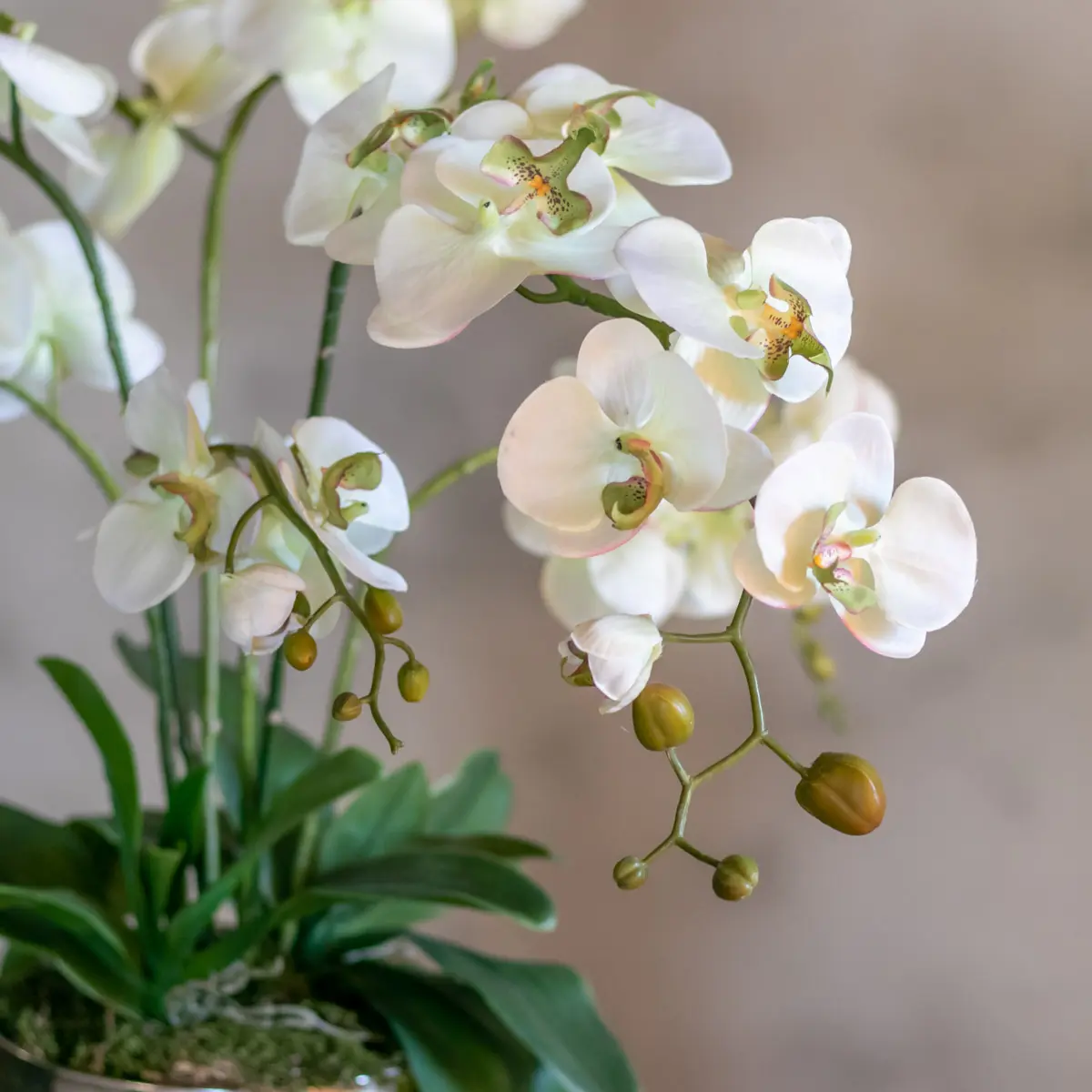 Bloemstuk Isabella 60cm (2)