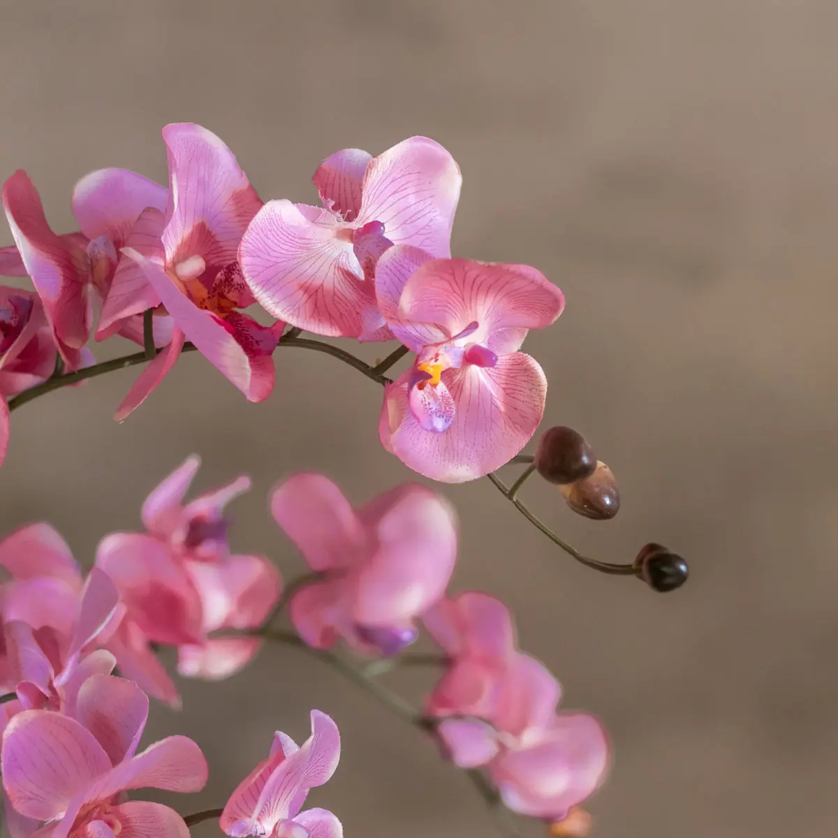 Bloemstuk Melody 60cm (3)