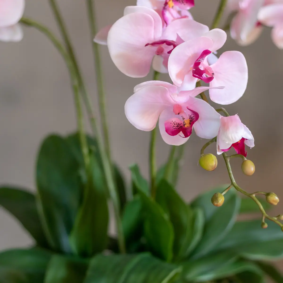 Bloemstuk Shirley 60cm (3)