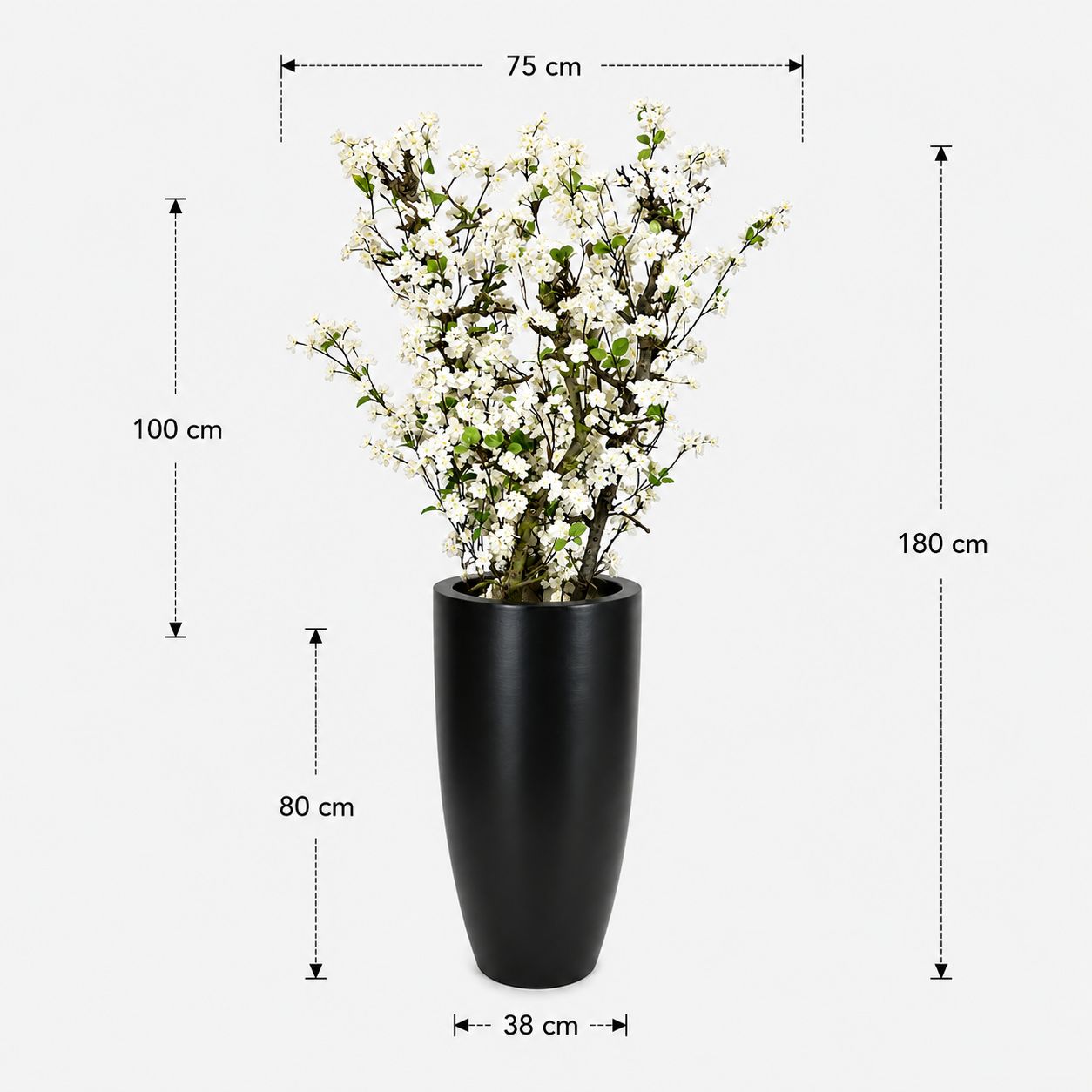 Bloesemboom Indy afmetingen