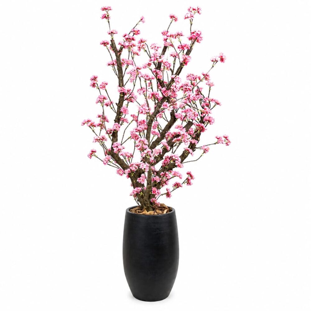 Bloesemboom Livia
