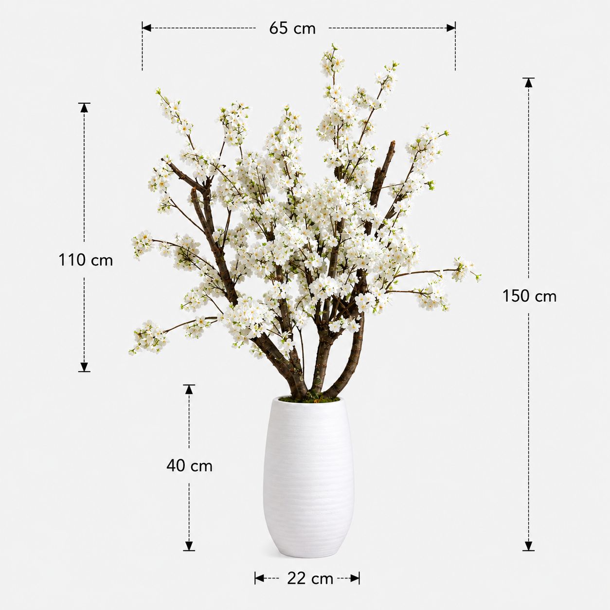 Bloesemboom Nine afmetingen