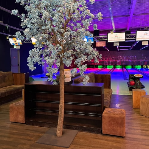 Bloesemboom-blauw-bij-bowlingbaan-Decoratietakken