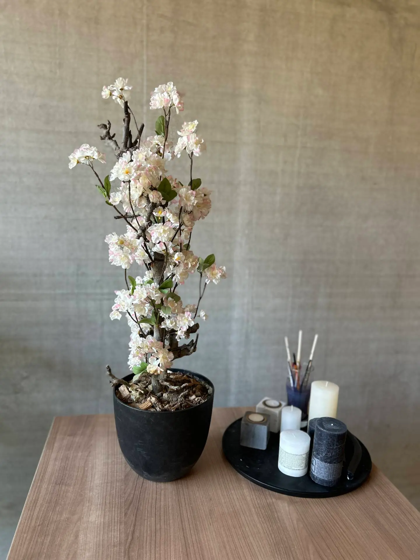 Bloesemstruik Juliette Wit 70cm (2) (1)