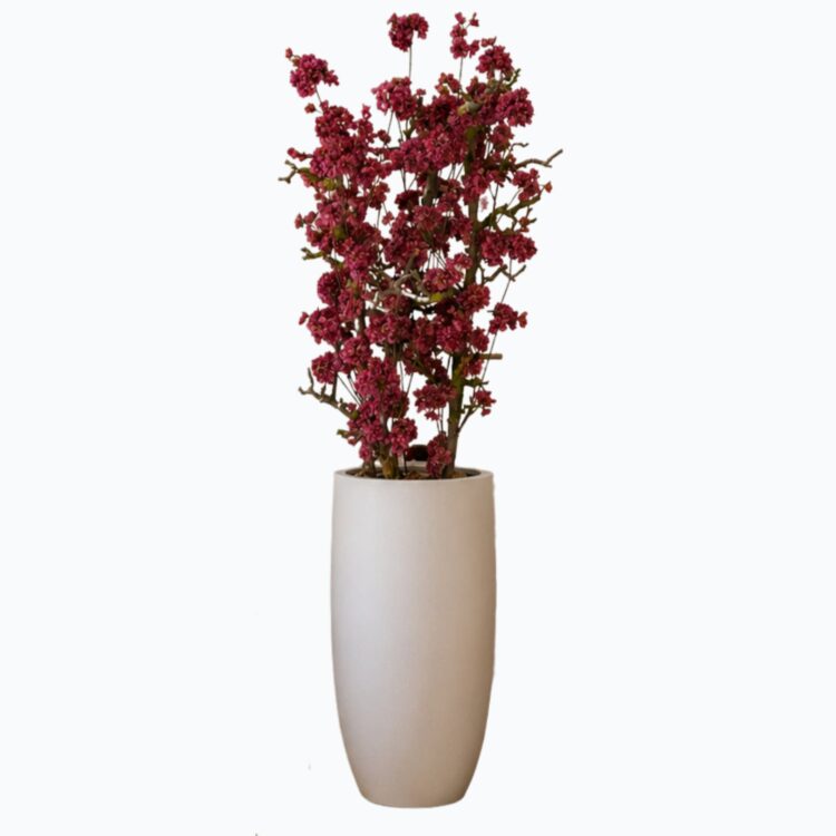 Bloesenboom Ruby Homepage