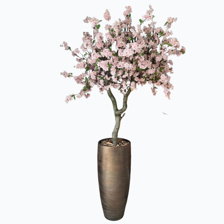 Bomen homepage