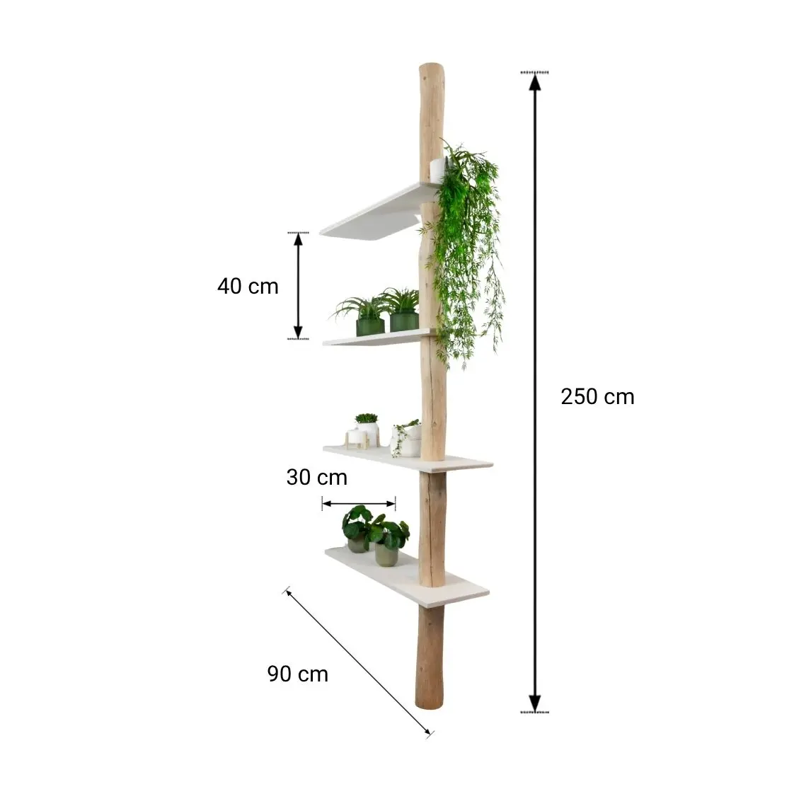 Boomstam Roomdivider _ Cedric _ Naturel_Wit _ 90x30x250