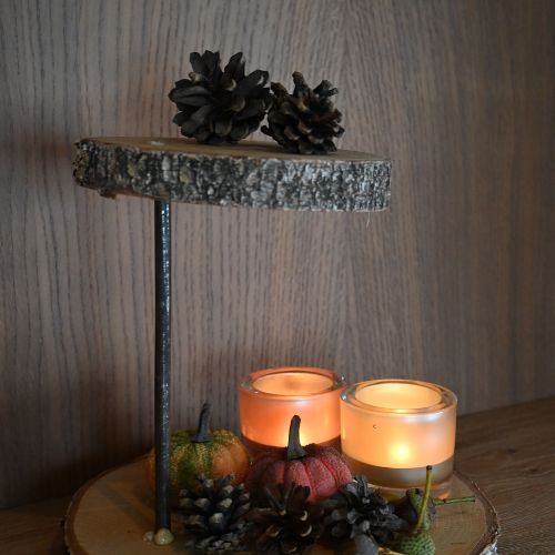 Boomstam-etagere-gang-Decoratietakken