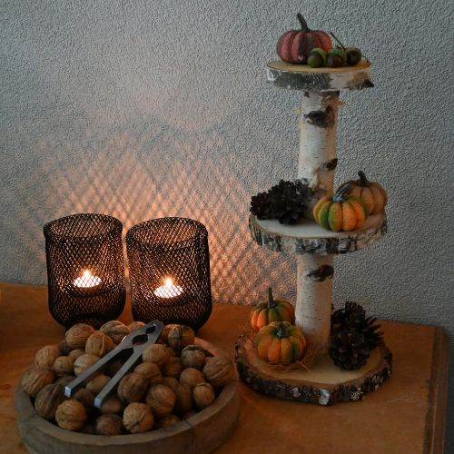 Boomstam-etagere-hal-Decoratietakken