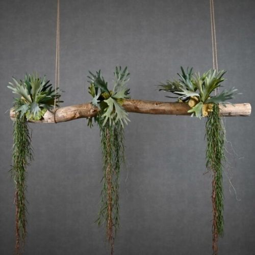 Boomstam-hanger-in-hal-Decoratietakken