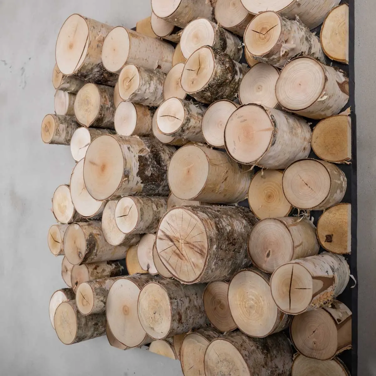 Boomstam wanddecoratie Lars vanaf 60x60cm (3)