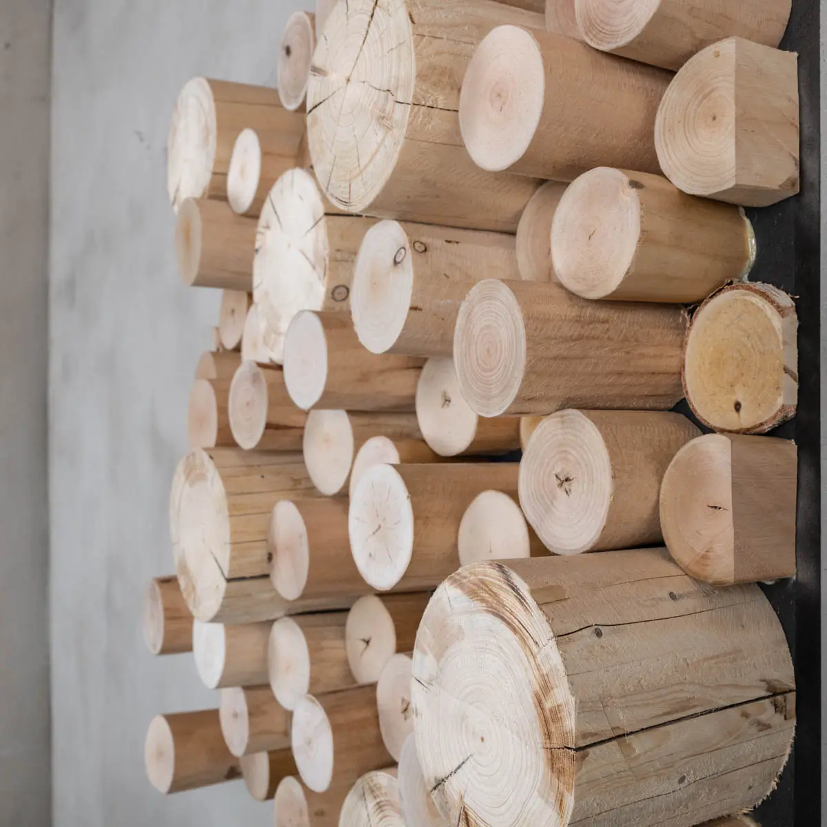 Boomstam wanddecoratie Kai vanaf 60x60cm (3)