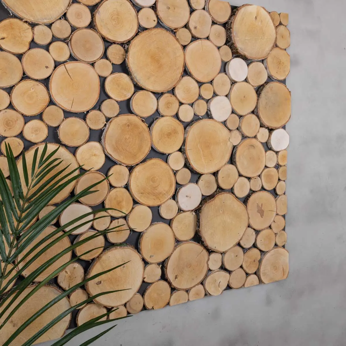 Boomstam wanddecoratie Stig vanaf 80x80cm (3)