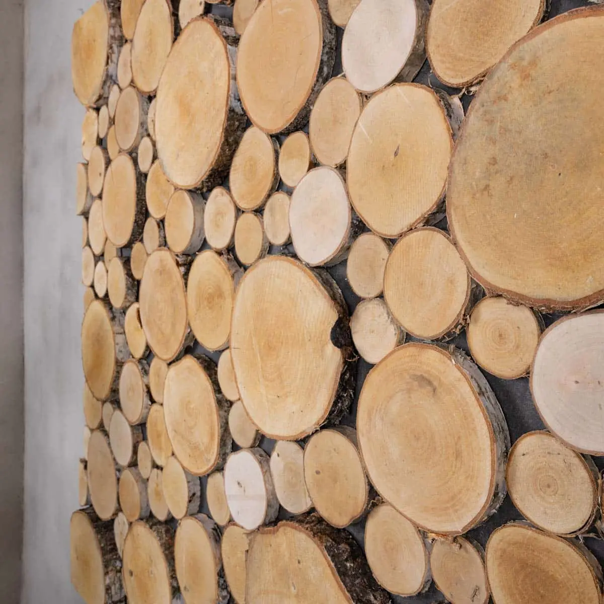 Boomstam wanddecoratie Stig vanaf 80x80cm (4)