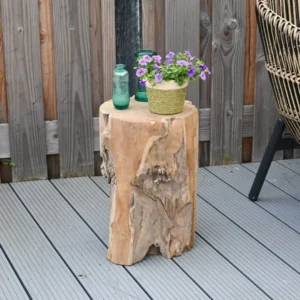 Boomstam zuil Jorn (2)