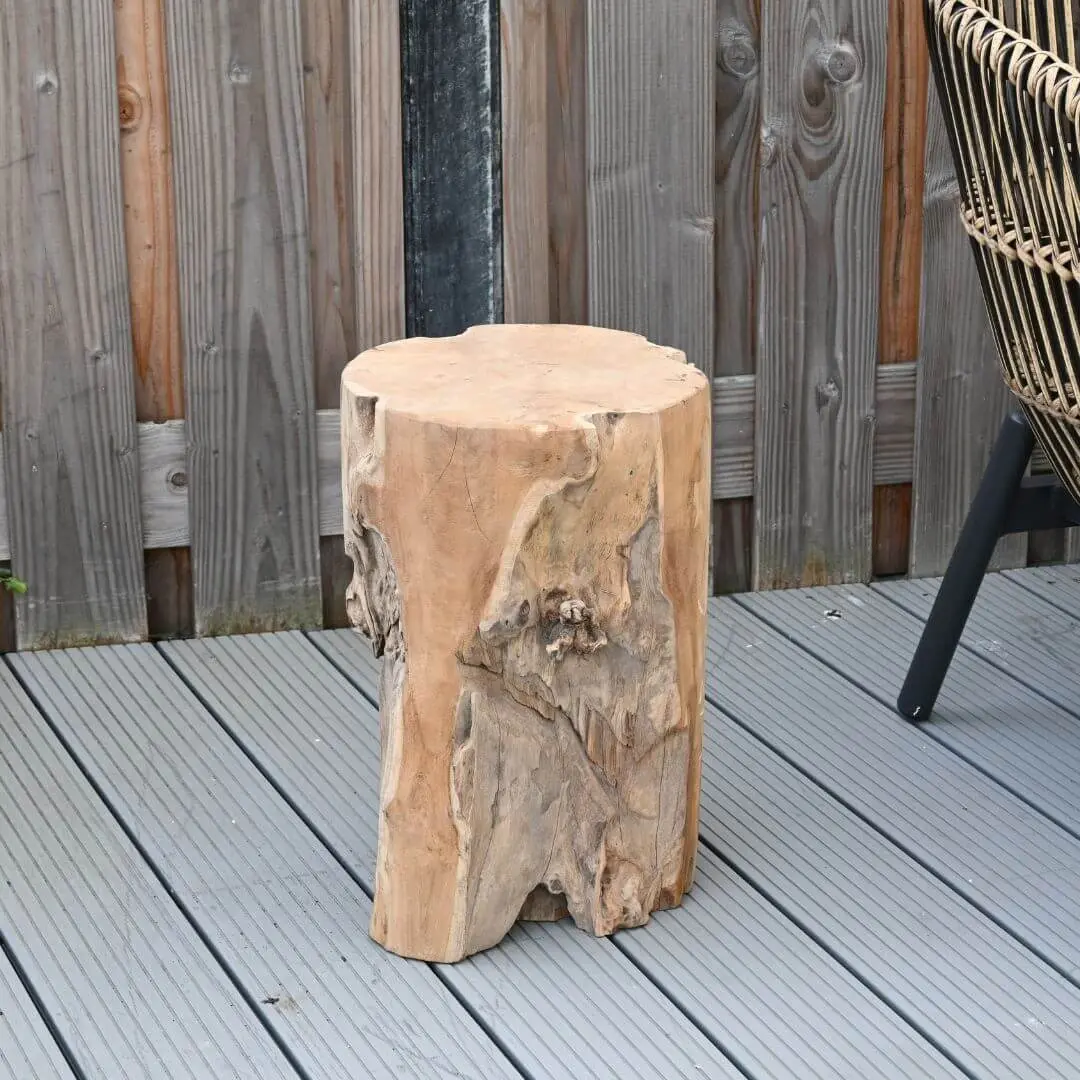 Boomstam zuil Jorn (3)