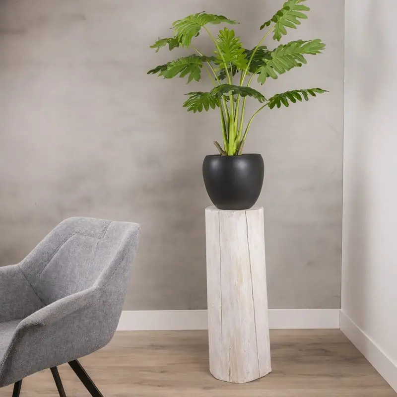 Boomstam zuil White wash 50 cm