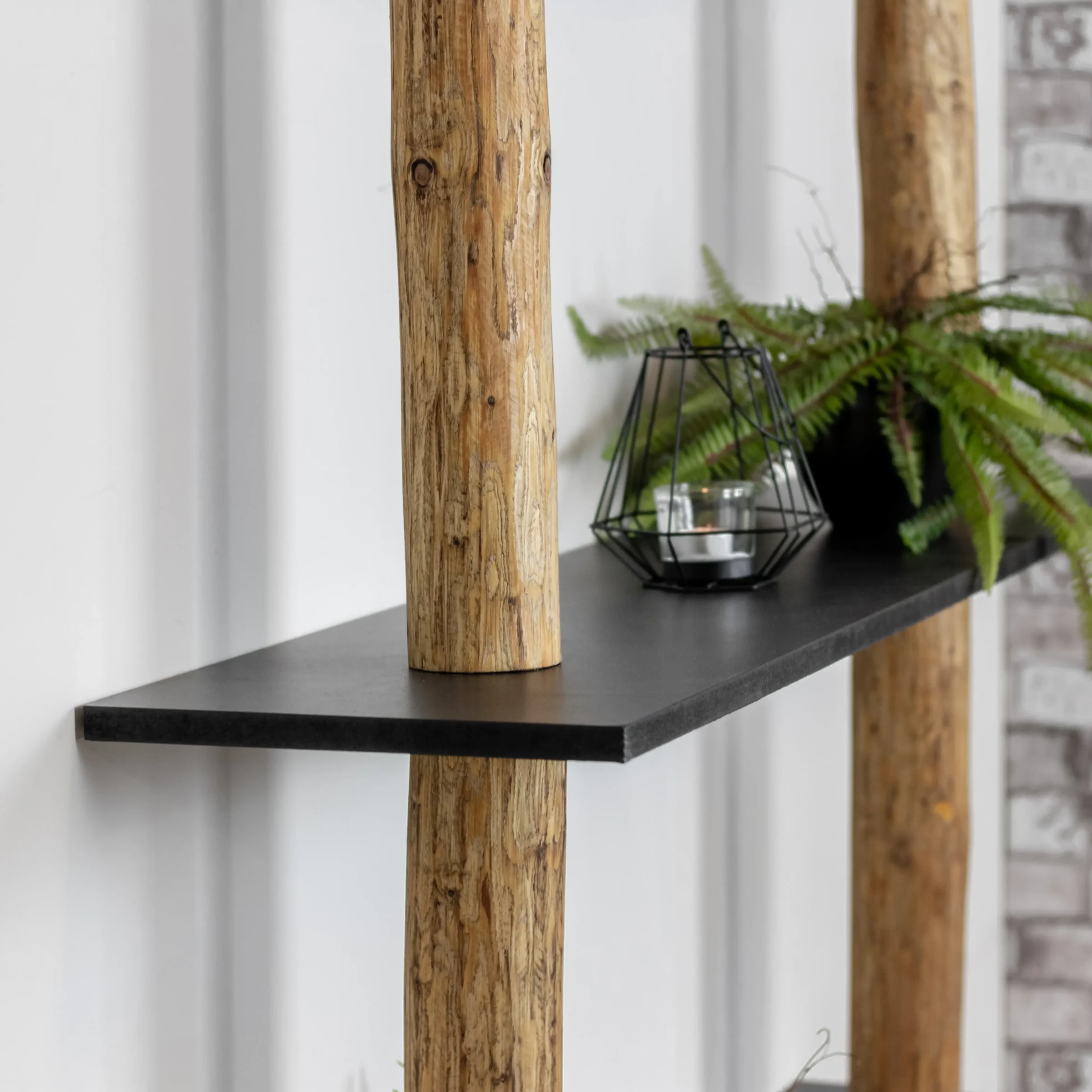 Boomstamwandkast Cedric OakZwart 250cm (10)