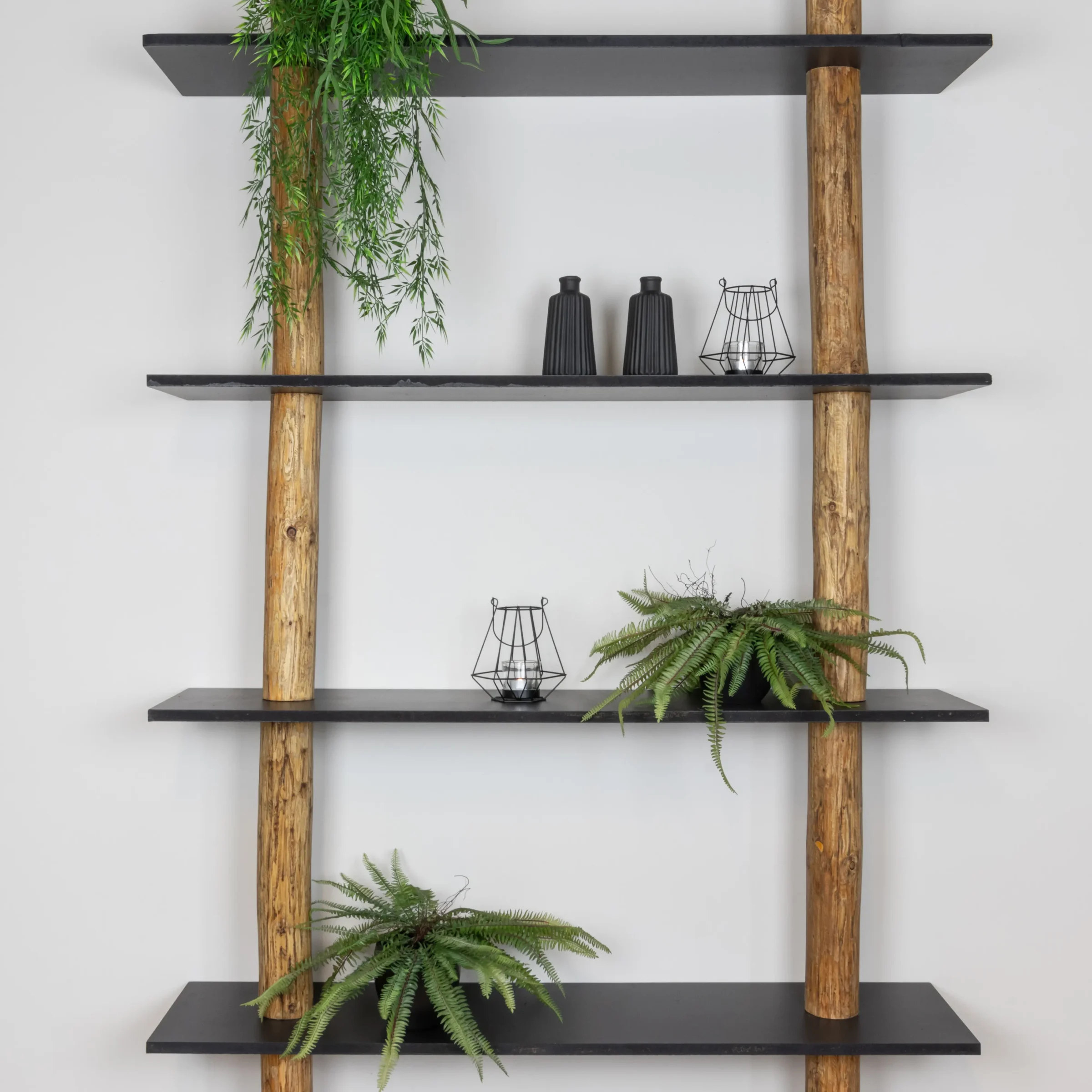 Boomstamwandkast Cedric OakZwart 250cm (3)