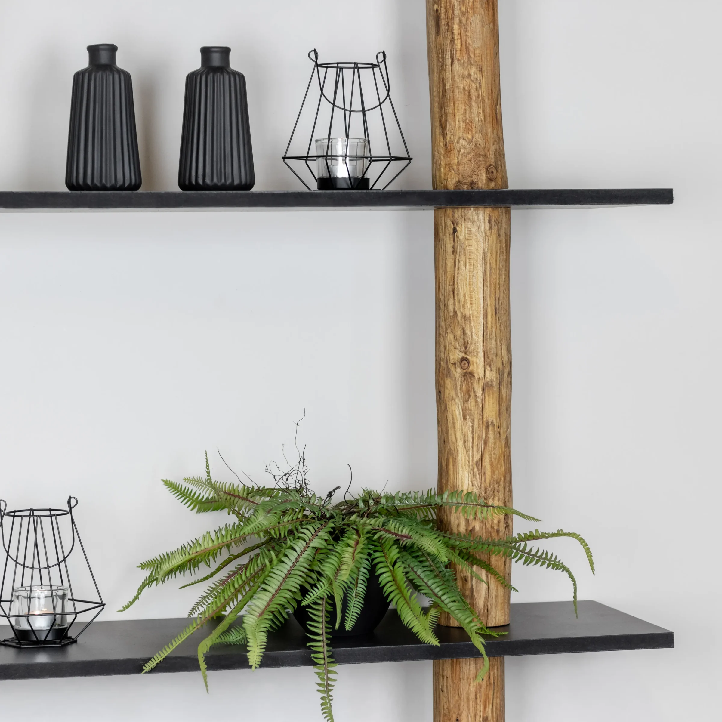 Boomstamwandkast Cedric OakZwart 250cm (5)