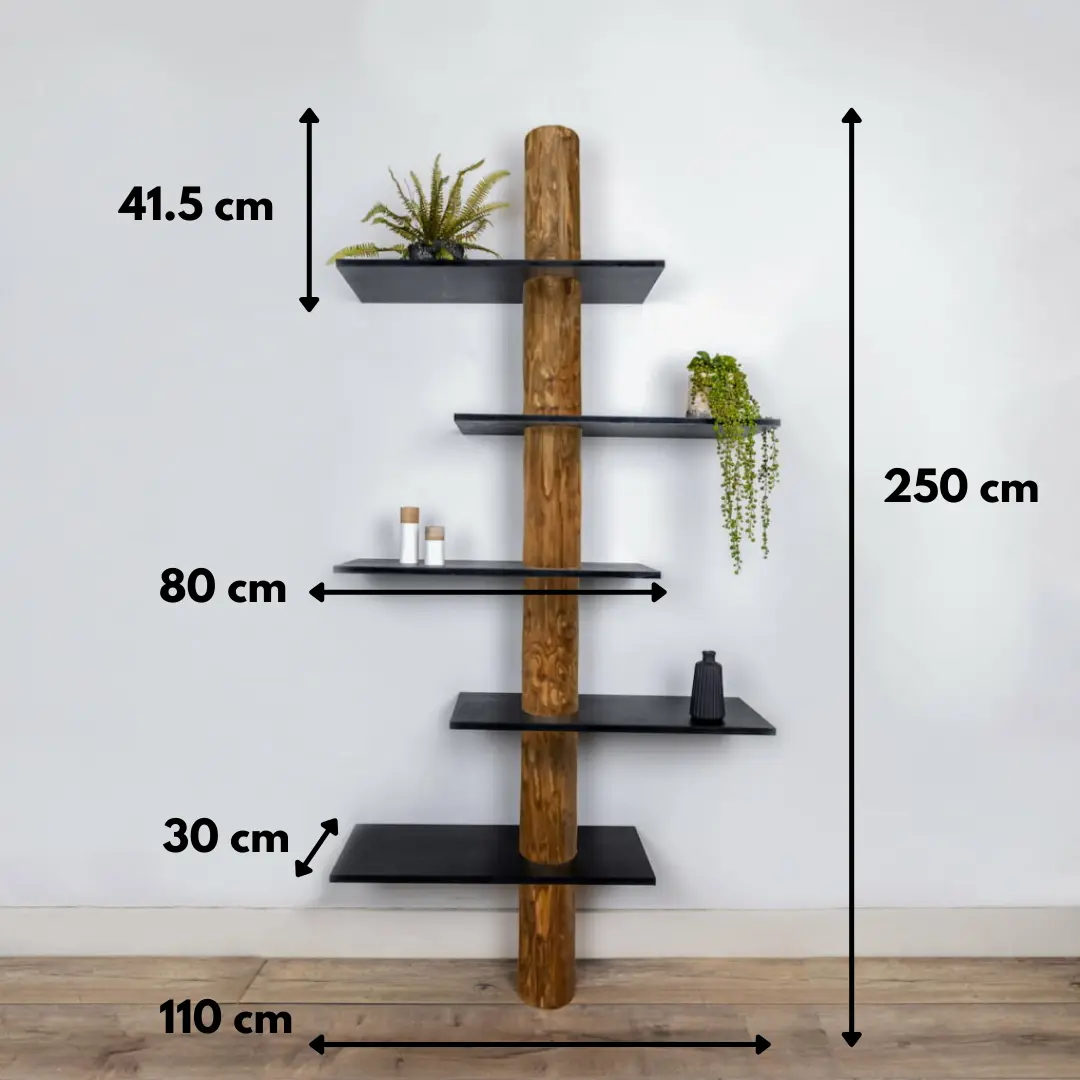 Boomstamwandkast Einar OakZwart 250cm, afmetingen