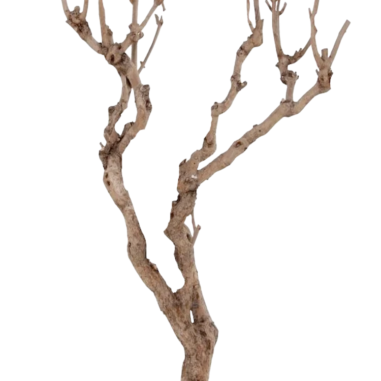 Categorie-Decoratietakken