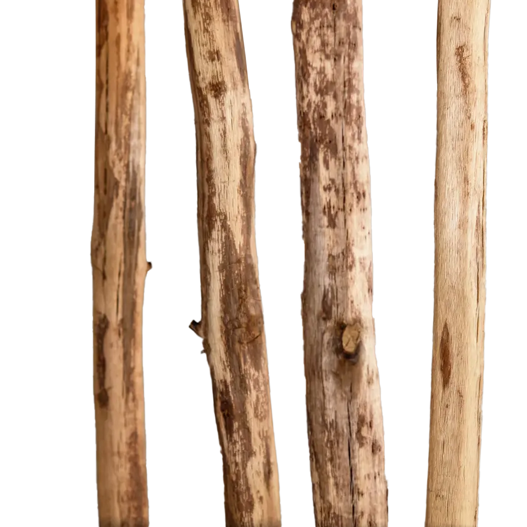 Categorie-Stammen-Eiken