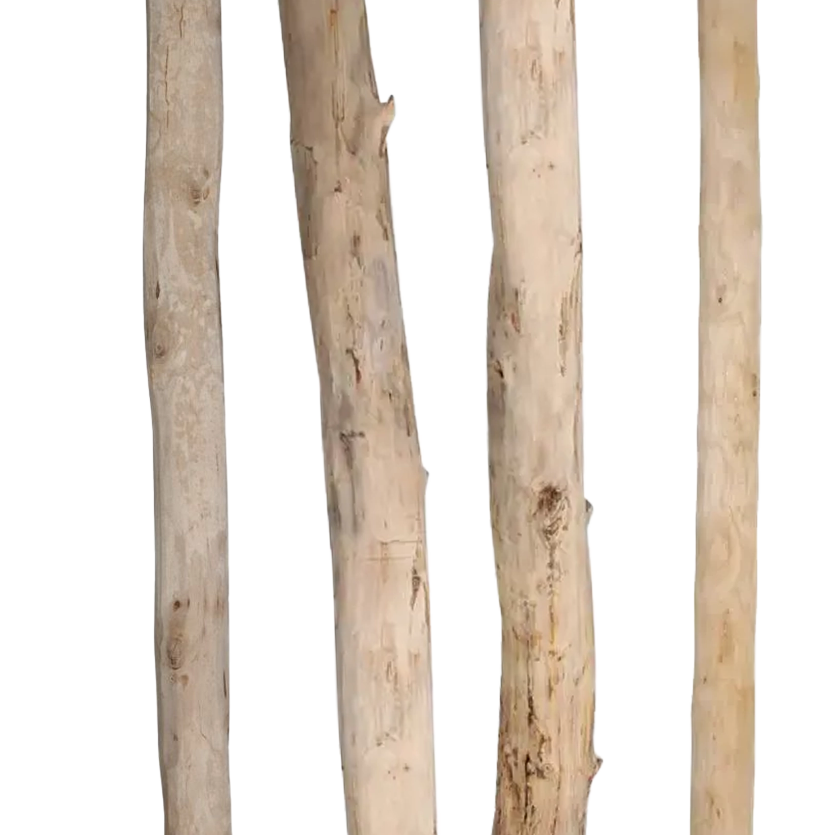 Categorie-Stammen-Ontschorste