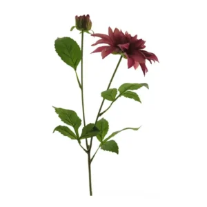 Dahlia Rood roze 70cm