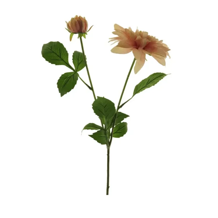 Dahlia Zachtroze 70cm