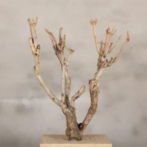 Decoboompje Naturel 50-60cm (1)